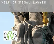 Wilp  criminal lawyer