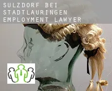 Sulzdorf bei Stadtlauringen  employment lawyer