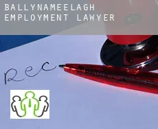 Ballynameelagh  employment lawyer