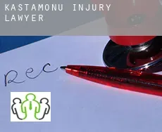 Kastamonu  injury lawyer