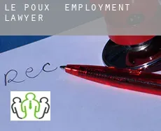 Le Poux  employment lawyer