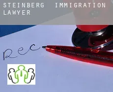 Steinberg  immigration lawyer