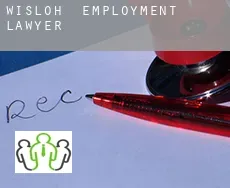 Wisloh  employment lawyer