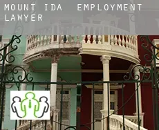 Mount Ida employment lawyer