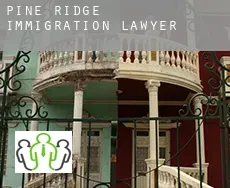 Pine Ridge  immigration lawyer