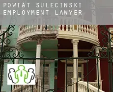 Powiat sulęciński  employment lawyer