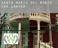 Santa María del Monte de Cea  lawyer