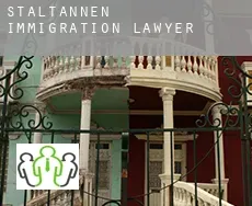Staltannen  immigration lawyer