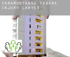 Faramontanos de Tábara  injury lawyer