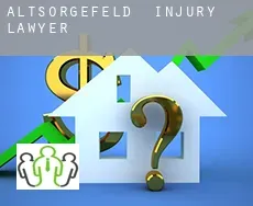Altsorgefeld  injury lawyer
