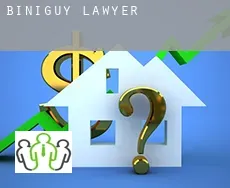 Biniguy  lawyer