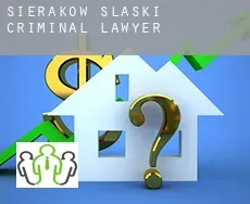 Sieraków Śląski  criminal lawyer
