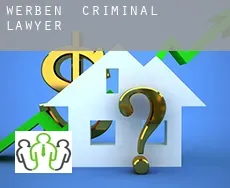 Werben  criminal lawyer