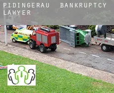 Pidingerau  bankruptcy lawyer