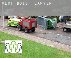 Vert Bois  lawyer