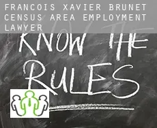 François-Xavier-Brunet (census area)  employment lawyer