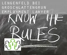 Lengenfeld bei Groschlattengrün  employment lawyer