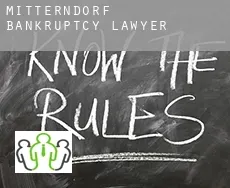 Mitterndorf bankruptcy lawyer