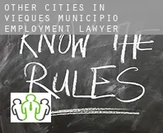Other cities in Vieques Municipio  employment lawyer