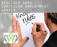 Baslieux-sous-Châtillon  employment lawyer