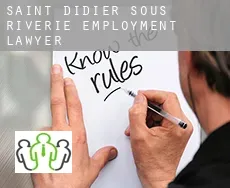 Saint-Didier-sous-Riverie  employment lawyer