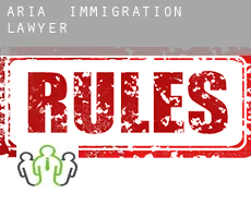 Aria  immigration lawyer