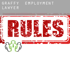 Graffy employment lawyer