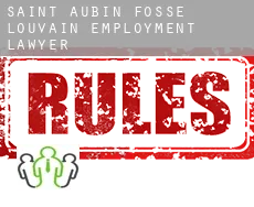 Saint-Aubin-Fosse-Louvain  employment lawyer