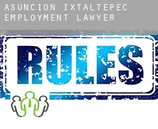 Asunción Ixtaltepec  employment lawyer