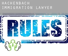 Hachenbach  immigration lawyer