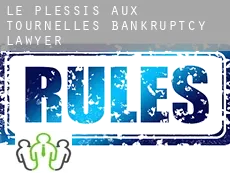 Le Plessis-aux-Tournelles  bankruptcy lawyer