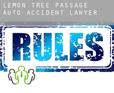 Lemon Tree Passage  auto accident lawyer