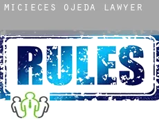 Micieces de Ojeda  lawyer