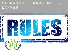 Parnassus bankruptcy lawyer