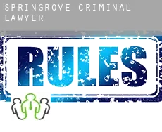 Springrove  criminal lawyer