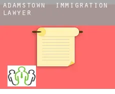 Adamstown  immigration lawyer