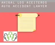 Ahigal de los Aceiteros  auto accident lawyer