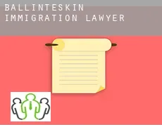 Ballinteskin immigration lawyer