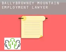 Ballybrowney Mountain  employment lawyer
