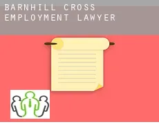 Barnhill Cross  employment lawyer