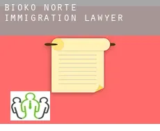 Bioko Norte immigration lawyer
