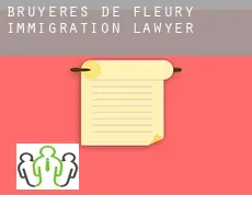 Bruyères-de-Fleury  immigration lawyer