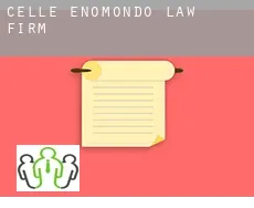 Celle Enomondo  law firm
