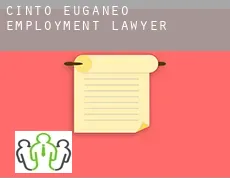 Cinto Euganeo  employment lawyer
