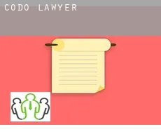Codó  lawyer