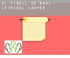 El Pinell de Brai  criminal lawyer