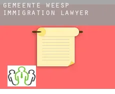 Gemeente Weesp immigration lawyer