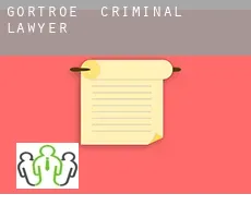 Gortroe  criminal lawyer