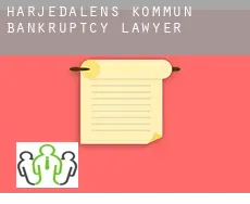 Härjedalens Kommun  bankruptcy lawyer