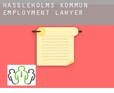 Hässleholms Kommun employment lawyer